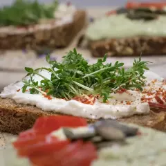 Kanapki z serkiem, rukolą i papryką na ciemnym pieczywie.