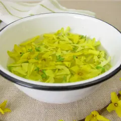 Biała miska z żółtymi kwiatami forsycji w wodzie, obok gałązka forsycji.