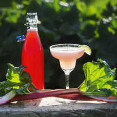Butelka z czerwonym napojem, kieliszek z różowym drinkiem i rabarbar na drewnianym tle.