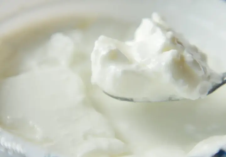 Gęsty, kremowy skyr na łyżce. To tradycyjny islandzki produkt mleczny, bogaty w białko.