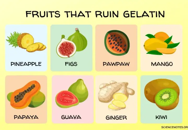 Owoce, których nie dodawać do galaretki: ananas, figi, papaja, mango, pawpaw, guawa, imbir, kiwi.