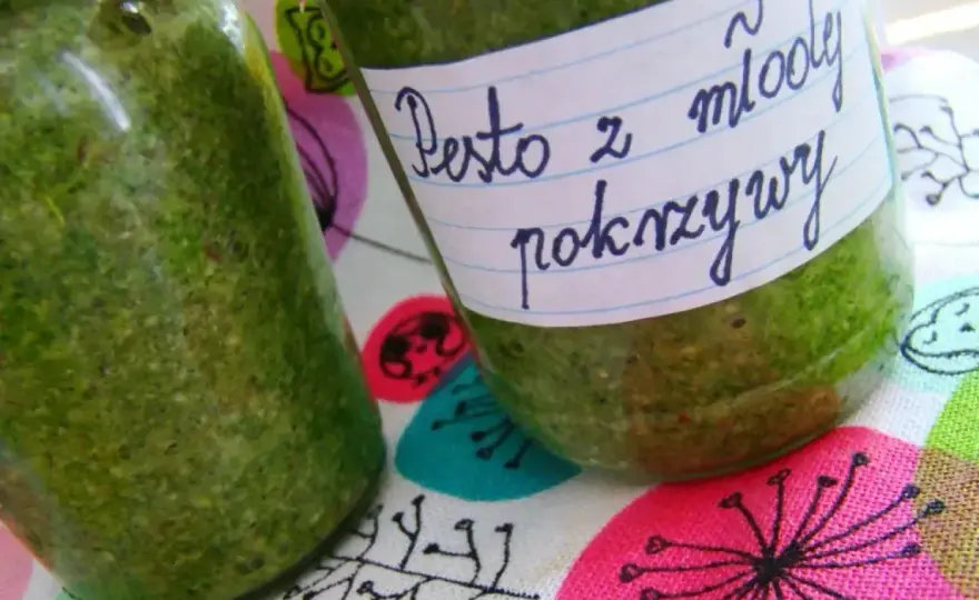Pesto z pokrzywy - przepis na zielony sos pełen smaku