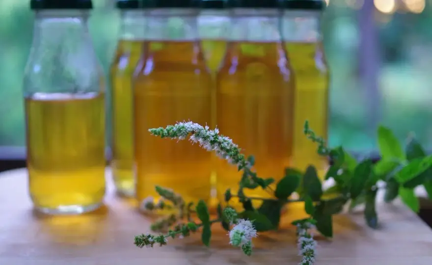 Syrop miętowy idealny - przepis, błędy i sekrety smaku