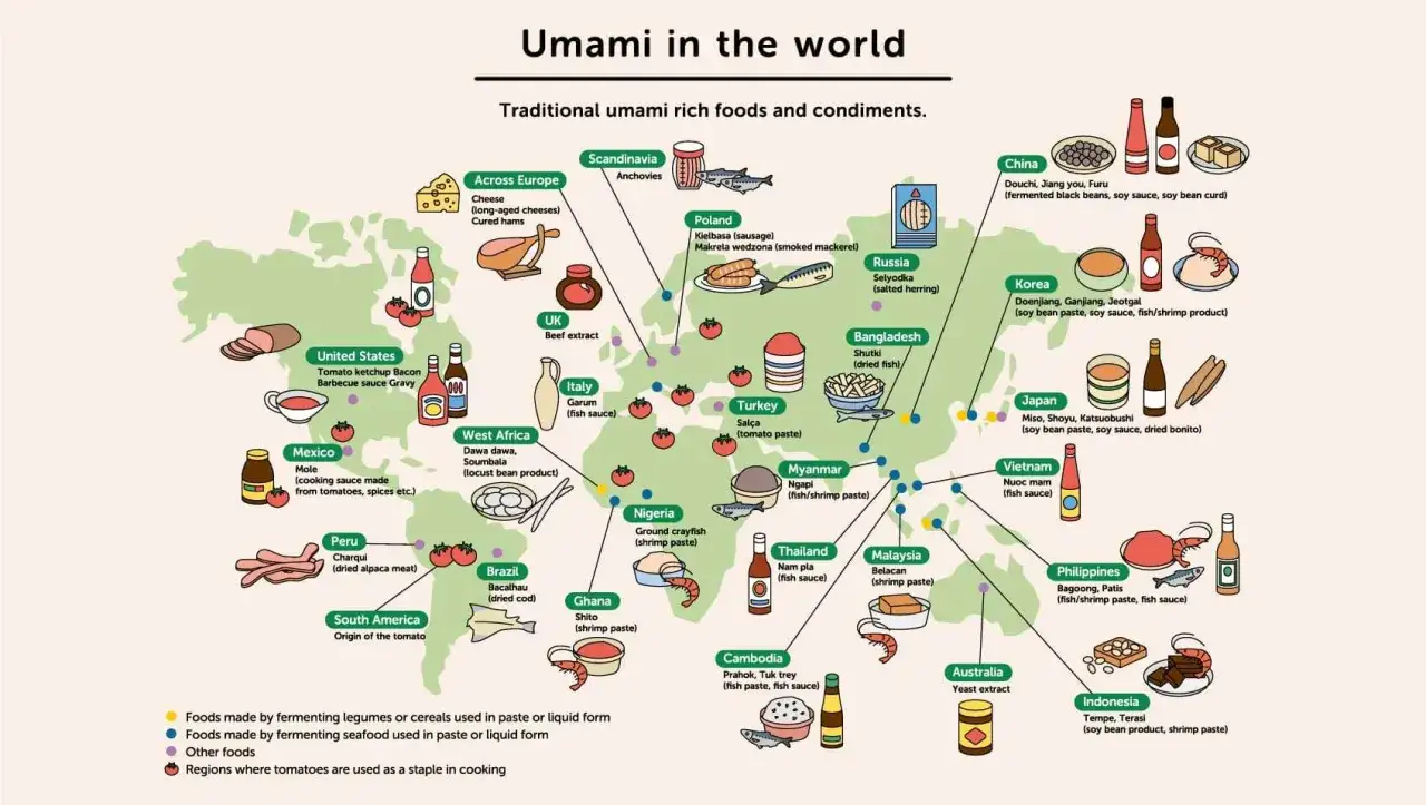 Mapa świata pokazuje, co to umami: tradycyjne potrawy i przyprawy bogate w ten smak, od sosu rybnego po ser.